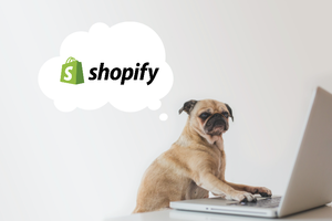 Shopify: Funktionen und Vorteile des Shopsystems verstehen