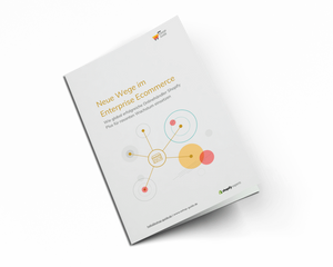 Whitepaper: Schnell wachsen mit Shopify Plus