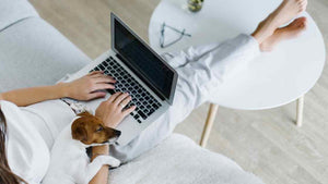 Frau mit Laptop auf dem Schoss