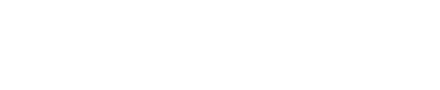 Shopify Plus Logo